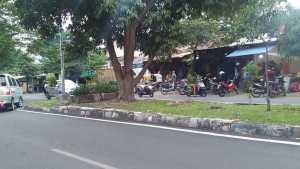 Taman di Jalan Raya Langsep - 2