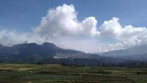 Pemandangan persawahan Desa Pujon Kidul di kaki gunung Dorowati dan Anjasmoro (fathul)