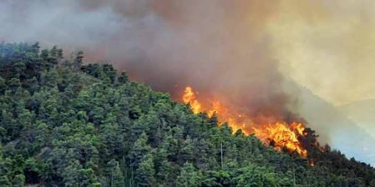 Api di Gunung Arjuno Berhasil Dipadamkan