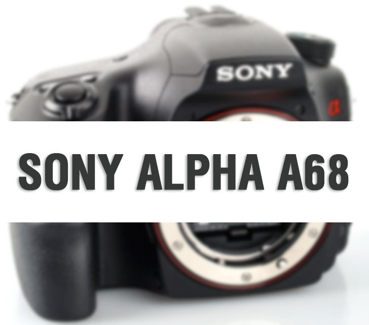 Sony Alpha A68, Bisa Fokus 4D