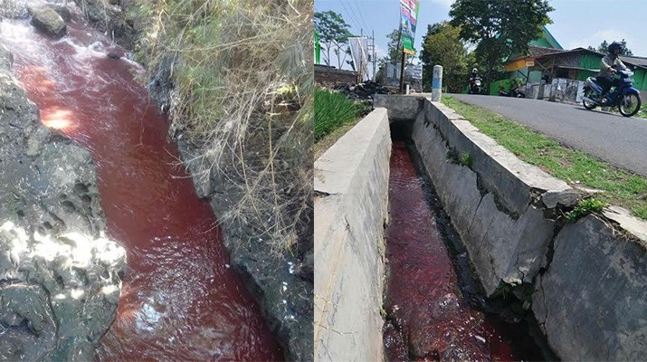 Sungai Bangau Tercemar, Walhi: BLH Harus Bentuk Tim Investigasi!