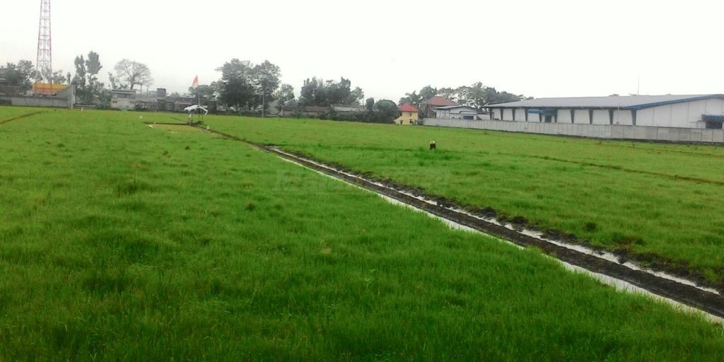 Lahan Pertanian di Kota Malang Menyusut