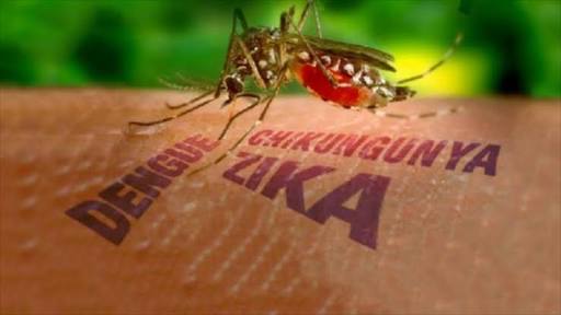 Travelers, Waspadai 30 Negara Bahaya Virus Zika