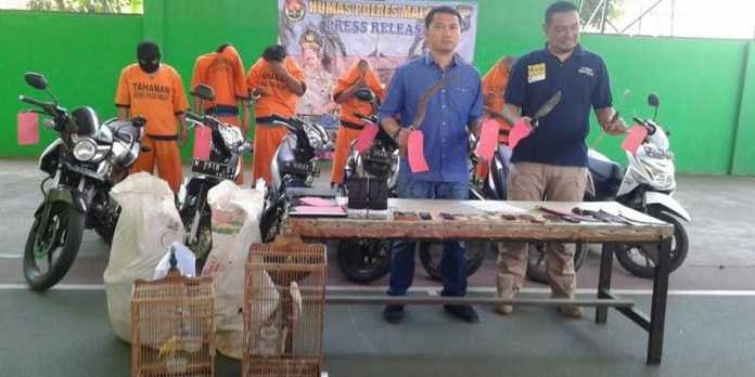 Kawanan perampok yang diamankan jajaran Satreskrim Polres Malang.