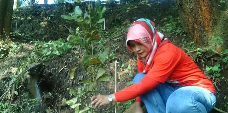 Reuni Perak, Alumni SMA Islam Tanam 600 Bibit Pohon