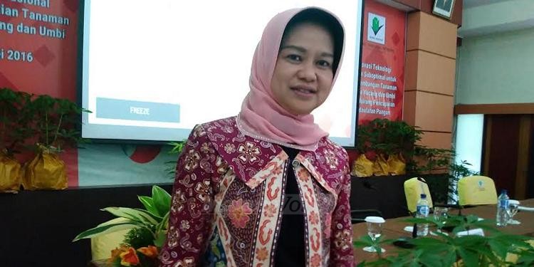 Prof Dr Siti Herlina MSi