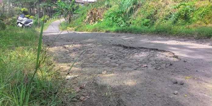 Kondisi jalan kampung di Dusun Talangsari, Desa Gunungsari terlihat berlubang dan rusak.