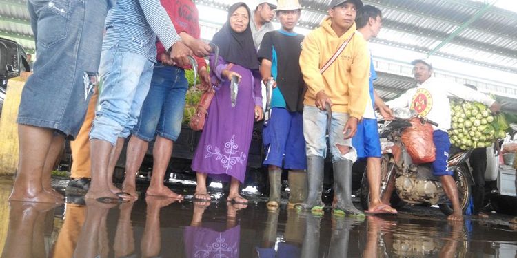 Sering Tergenang Banjir, Pedagang Pasar Karangploso Lepas Ikan Lele
