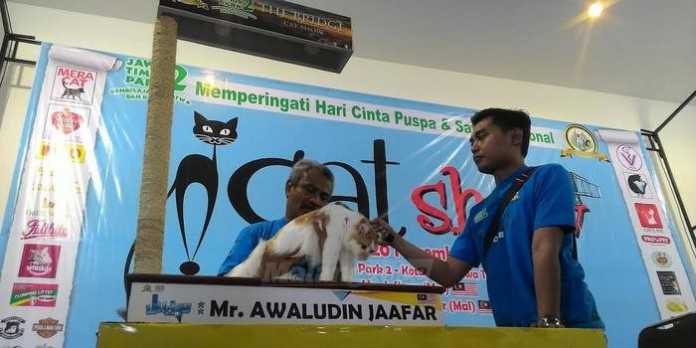 Juri asal Malaysia Awaludin Jaafar saat melakukan penilaian salah satu kucing milik peserta.(Miski)