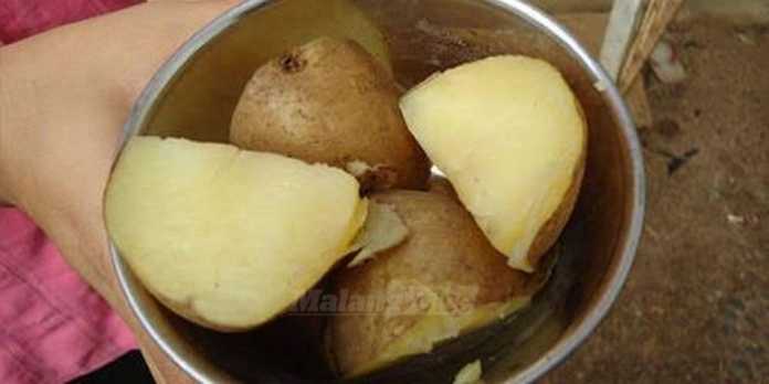 kentang rebus lebih sehat (anja)