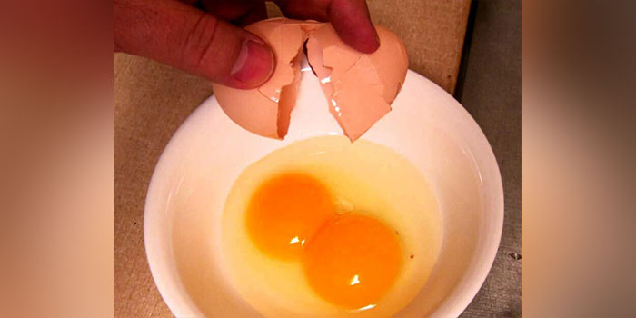 Begini Khasiat di Balik Mengkonsumsi Telur  Kampung Mentah  