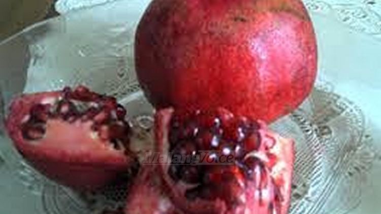 delima merah atau pomegranate (anja)