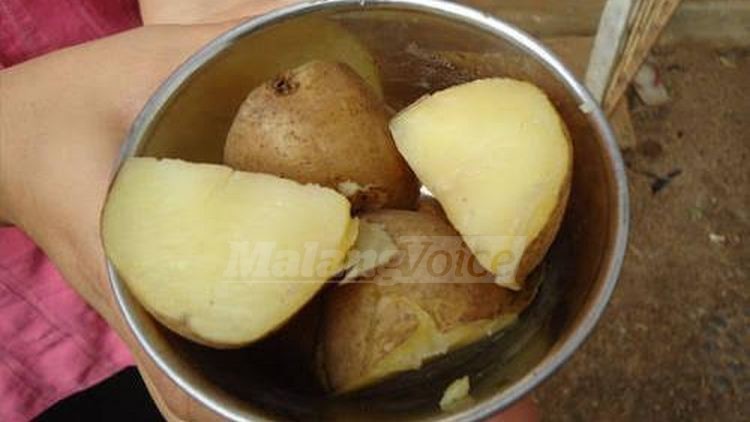 kentang potong (anja)