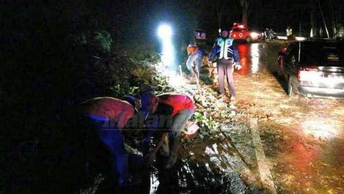 Bencana longsor disertai pohon tumbang di sepanjang jalur Payung, Kota Batu, Kamis (19/1) malam.(ist)