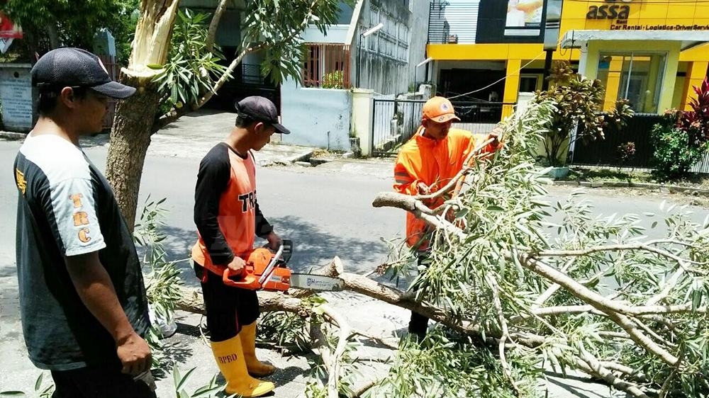 Petugas membersihkan pohon tumbang di Jalan Ciliwung 6C. (Muhammad Choirul)