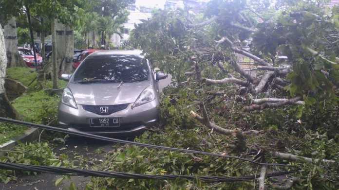 Pohon tumbang di Jalan Diponegoro. (Ist)