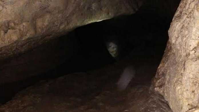 Lokasi gua yang jadi venue caving Dimpa UMM (foto: Polsek Donomulyo)