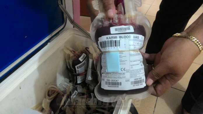 petugas PMI saat menunjukkan kantong darah hasil donor darah dari masyarakat.(Miski)