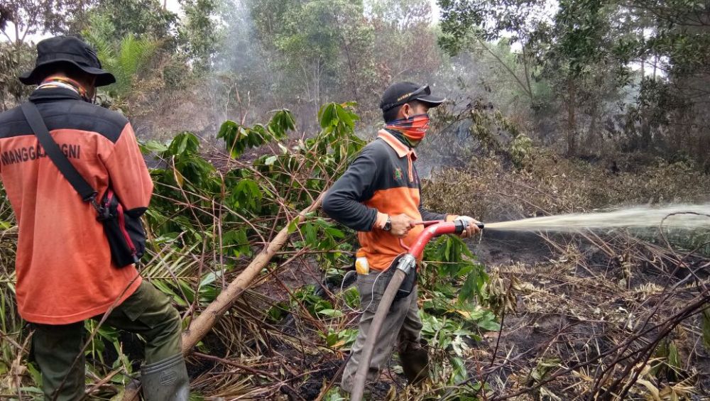 Petugas berusaha memadamkan kebakaran hutan dan lahan di beberapa wilayah Indonesia.(BNPB for MVoice)