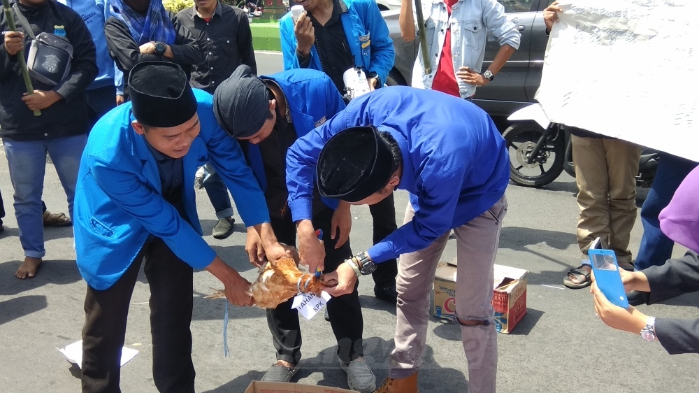 Unjuk Rasa PMII Kota Malang Diwarnai Aksi Potong Ayam