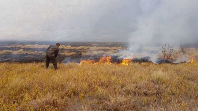 Petugas berusaha memadamkan api yang melalap sebagian Bukit Savana dan tebingan Bantengan Gunung Bromo.(ist)