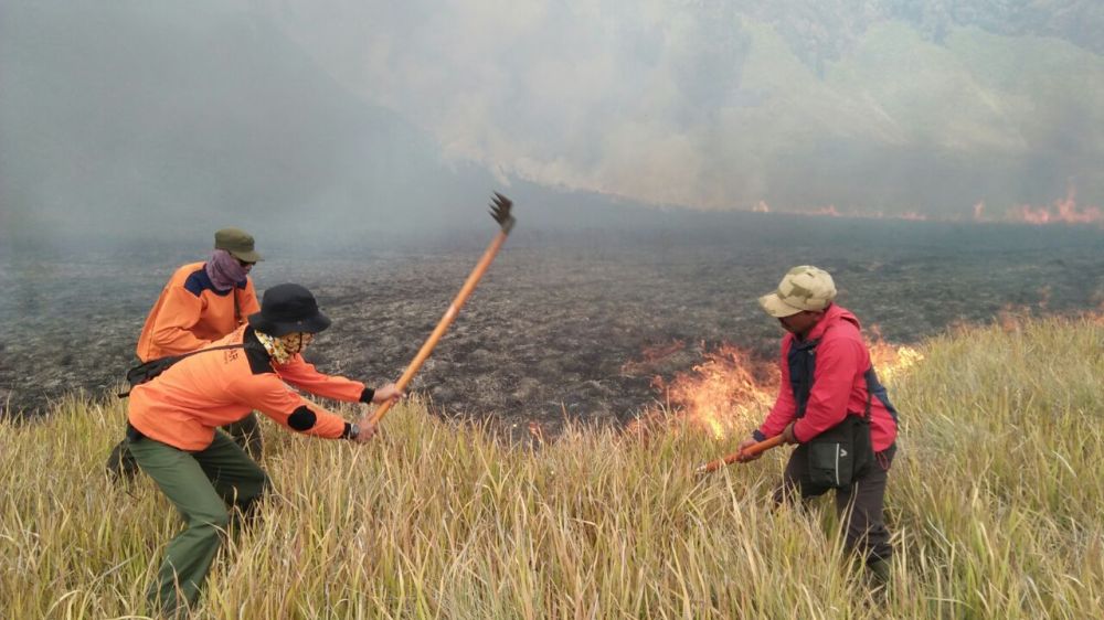 Bukit Savana Gunung Bromo Terbakar