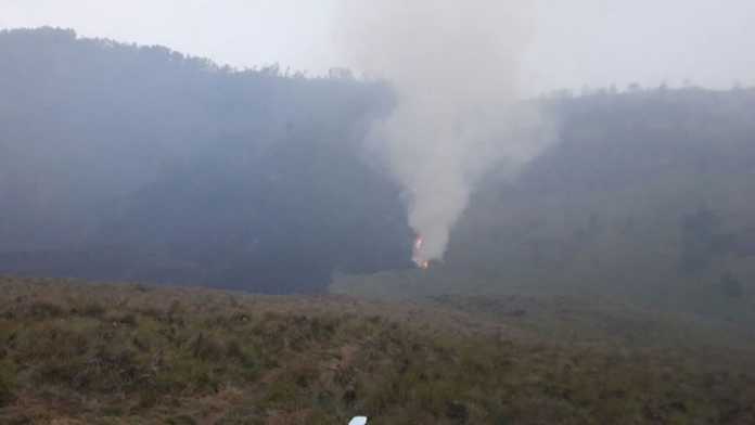 Tebingan Bantengan Gunung Bromo terbakar.(ist)