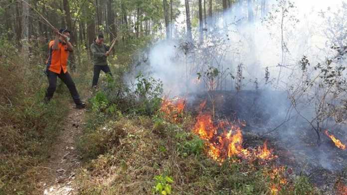 Petugas dari BPBD Kota Batu berusaha memadamkan api di Dusun Kandangan Desa Gunungsari Kecamatan Bumiaji Kota Batu, Rabu (20/9).(BPBD Kota Batu)