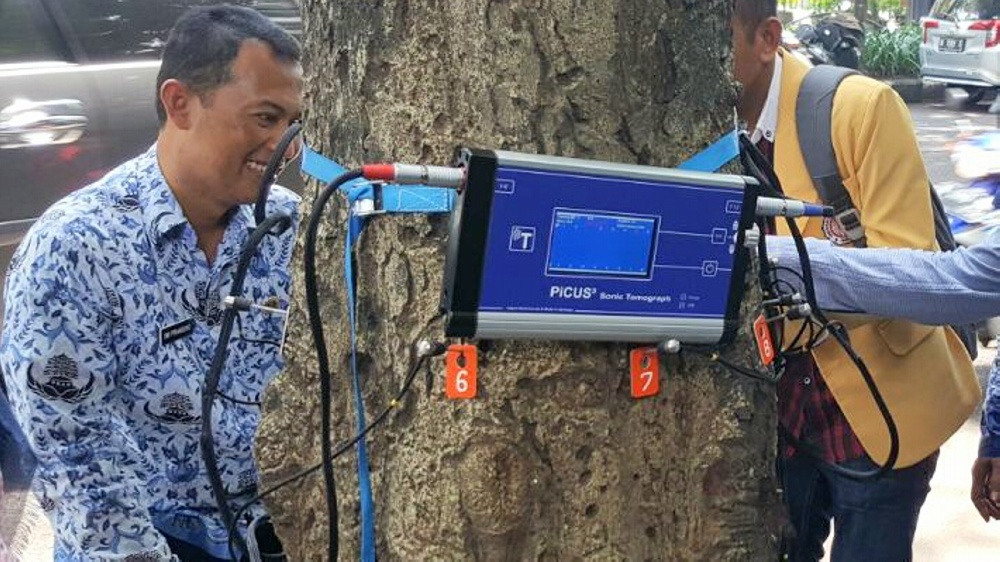 Mbois Puol, Kota Malang Mulai Gunakan Alat Deteksi Kondisi Pohon