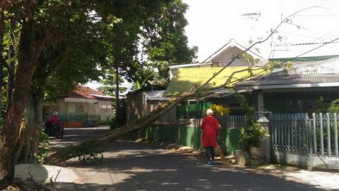Dahan pohon tumbang menimpa kediaman warga. (Istimewa)