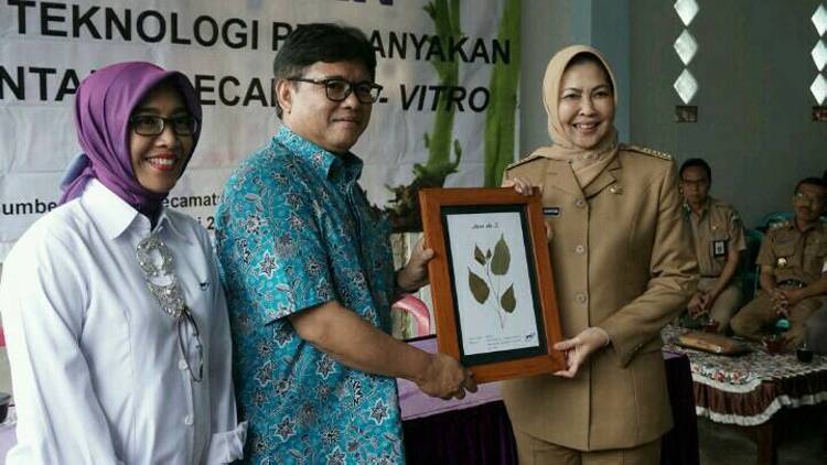 (dari kiri) Deputi Bidang Teknologi Agroindustri Bioteknologi BPPT, Eniya L. Dewi, Kepala BPPT Unggul Priyanto dan Wali Kota Batu Dewanti Rumpoko. (Diskominfo Kota Batu)