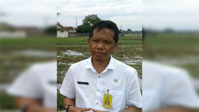 Kepala Dinas Tanaman Pangan Hortikultura dan Perkebunan Kabupaten Malang M Nasri Abdul Wahid. (Istimewa)