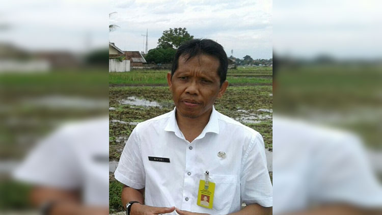 Kepala Dinas Tanaman Pangan Hortikultura dan Perkebunan Kabupaten Malang M Nasri Abdul Wahid. (Istimewa)