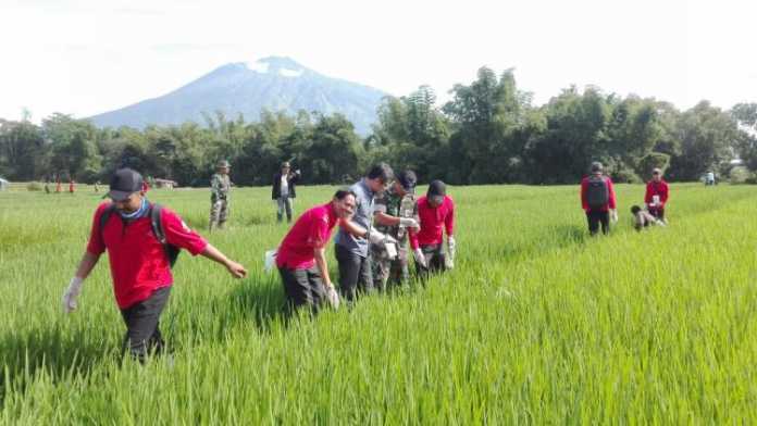 Obyokan tikus. (istimewa)
