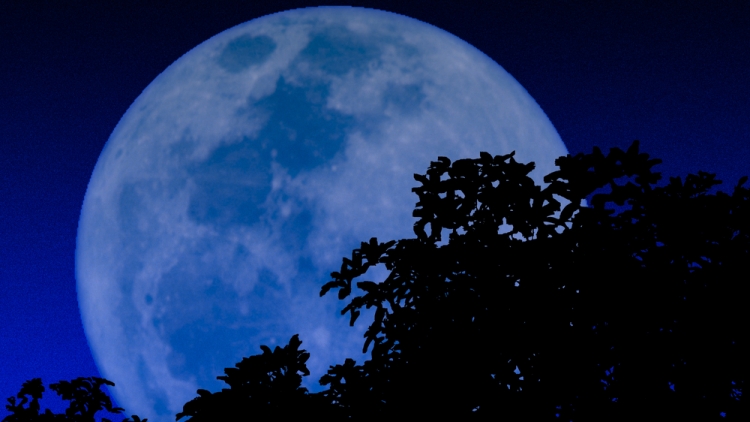 Langka! Fenomena Blue Moon Muncul 31 Maret Nanti