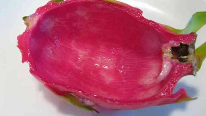 Ekstrak kulit buah naga bisa jadi obat pendamping. (Red Velvet Confections)