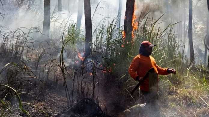 Tim TRC BPBD Kota Batu memadamkan api di lereng Gunung Panderman Petak 228 B RPH Oro oro Ombo, BKPH Pujon, KPH Malang, Senin (10/9). (Pusdalops BPBD Kota Batu)