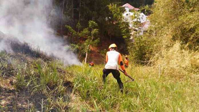 Petugas dari TRC BPBD Kota Batu melakukan pemadaman di sebuah lahan kosong belakang Hotel Kusuma Agrowisata, Minggu (4/11). (BPBD Kota Batu)