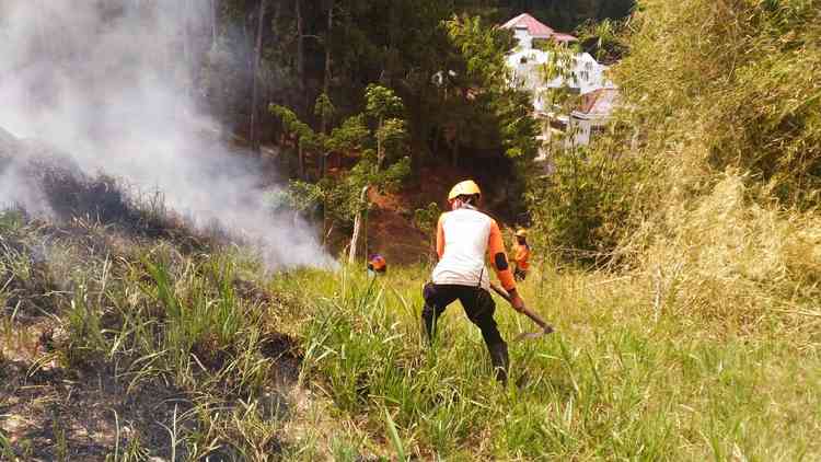 1,5 Hektare Lahan di Belakang Hotel Kusuma Agrowisata Ludes Terbakar