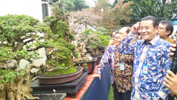 Rektor UB, Nuhfil Hanani saat melihat pameran bonsai.