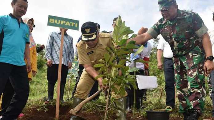 Dandim dan Plt Bupati saat akan melakukan penanaman bibit pohon. (Istimewa)