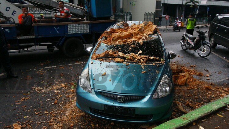 Brakkkk, Dahan Pohon Beringin Timpa Mobil di Alun-Alun Kota Malang