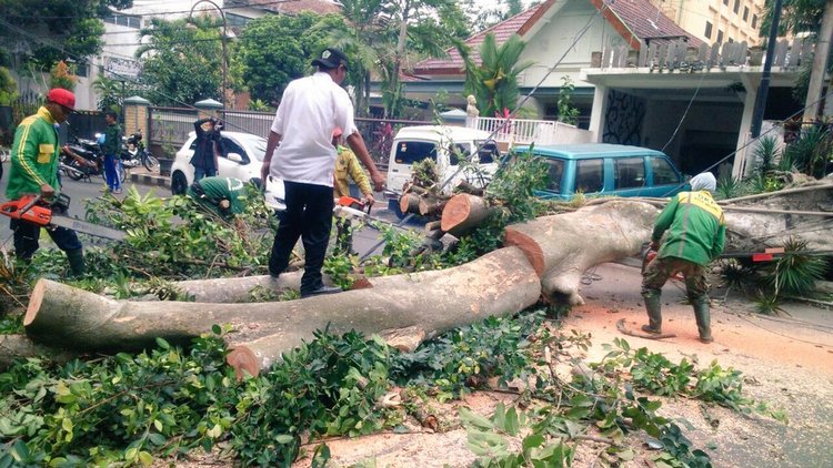 Kota Malang Dilanda 18 Kejadian Bencana Selama Maret, Kerugian Rp 580 Juta
