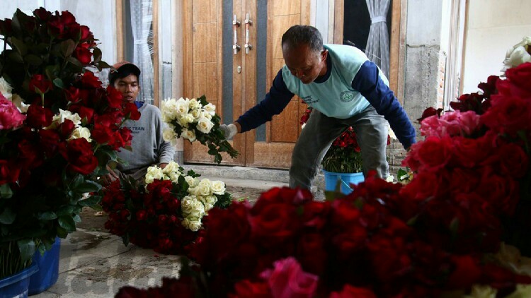 Valentine Membawa Berkah Petani Bunga di Kota Batu