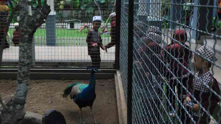 Kebun Binatang Mini di Balai Kota Among Tani jadi Tempat Belajar TK