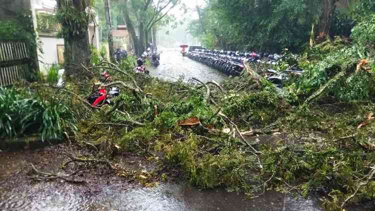 Hujan Angin 30 Menit Porak Porandakan Kota Malang