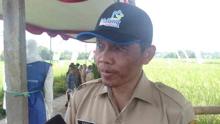 DKP Kabupaten Malang Berharap Warga Singosari Pertahankan Lahan Sawah