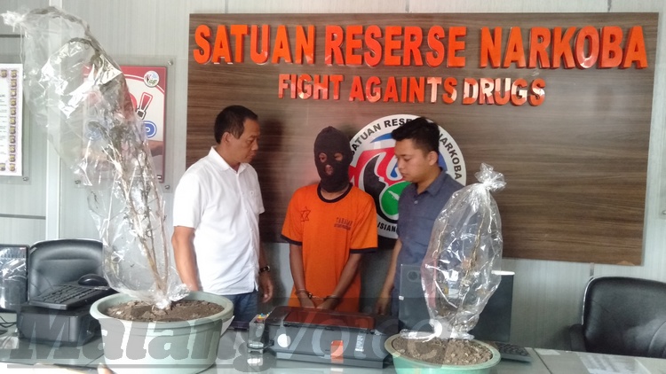 Berdalih Cari Inspirasi, Seniman Lukis ini Konsumsi Ganja