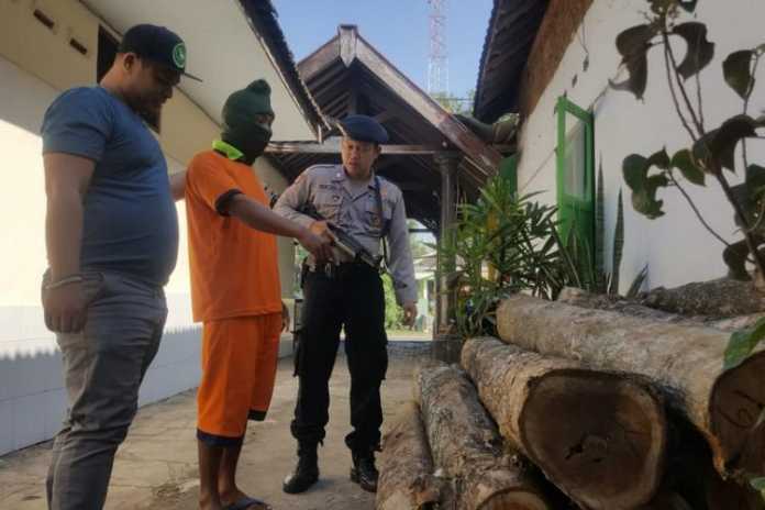 Ngadi (baju tahanan), pelaku ilegal logging, saat menunjukkan kayu curian milik Perhutani