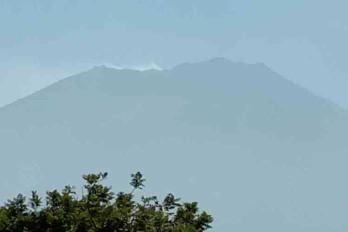 Kebakaran hutan dan lahan di Gunung Arjuna, Kecamatan Bumiaji, Kota Batu, Minggu (28/7). (Foto: istimewa)